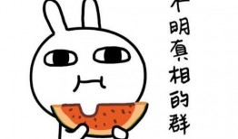 娱乐吃瓜酱陪伴是最长情