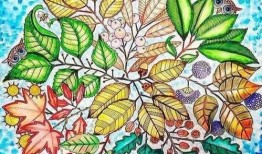 秘密花园吃瓜官网,吃瓜官网带你领略神秘瓜界风采