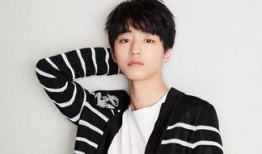 吃瓜娱乐圈王俊凯