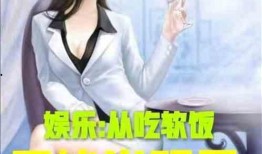 娱乐吃瓜酱吃饭小说,饭圈风云下的小说世界