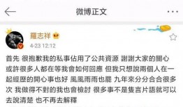 娱乐圈吃瓜小作文,揭秘明星背后的故事