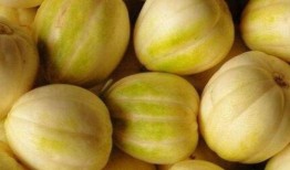 ccgg.cet吃瓜网,揭秘娱乐圈幕后故事，带你领略网络吃瓜文化