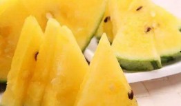 黑网料吃瓜网地址,追踪网络暗流涌动的秘密角落