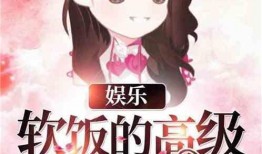 娱乐吃瓜酱吃饭小说,饭圈风云下的小说世界