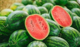 湖咖娱乐圈吃瓜,揭秘明星幕后故事，吃瓜群众狂欢盛宴