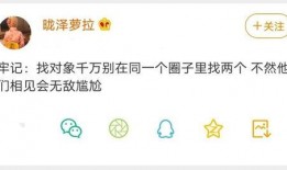 娱乐吃瓜文字解说全集,揭秘明星幕后故事