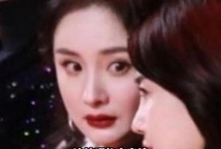 娱乐圈理性吃瓜,揭秘明星幕后真相