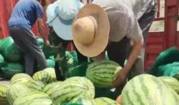 甘肃张掖网红吃瓜事件,一场网络狂欢背后的争议与反思