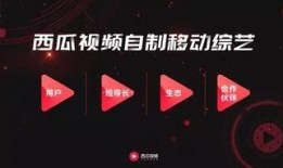 娱乐吃瓜单视频素材,吃瓜群众视角下的热门视频幕后故事