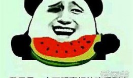 吃瓜群众表情是什么意思啊,揭秘“吃瓜群众”表情背后的网络文化现象