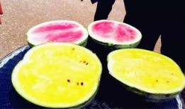 怎么吃爆料瓜,如何轻松吃透爆料瓜，成为八卦达人