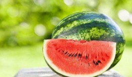 今日吃瓜热门大瓜免费观看,免费观看，揭秘娱乐圈幕后真相！